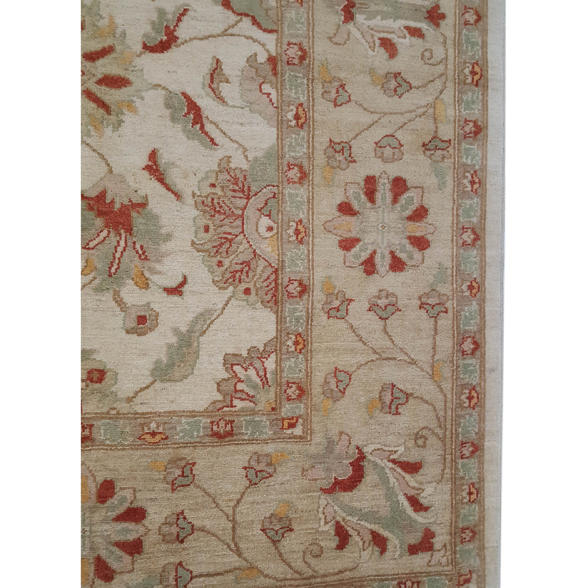 Pacific Ziegler 32353 Ivory Gold Transitional Hand Knotted Rug