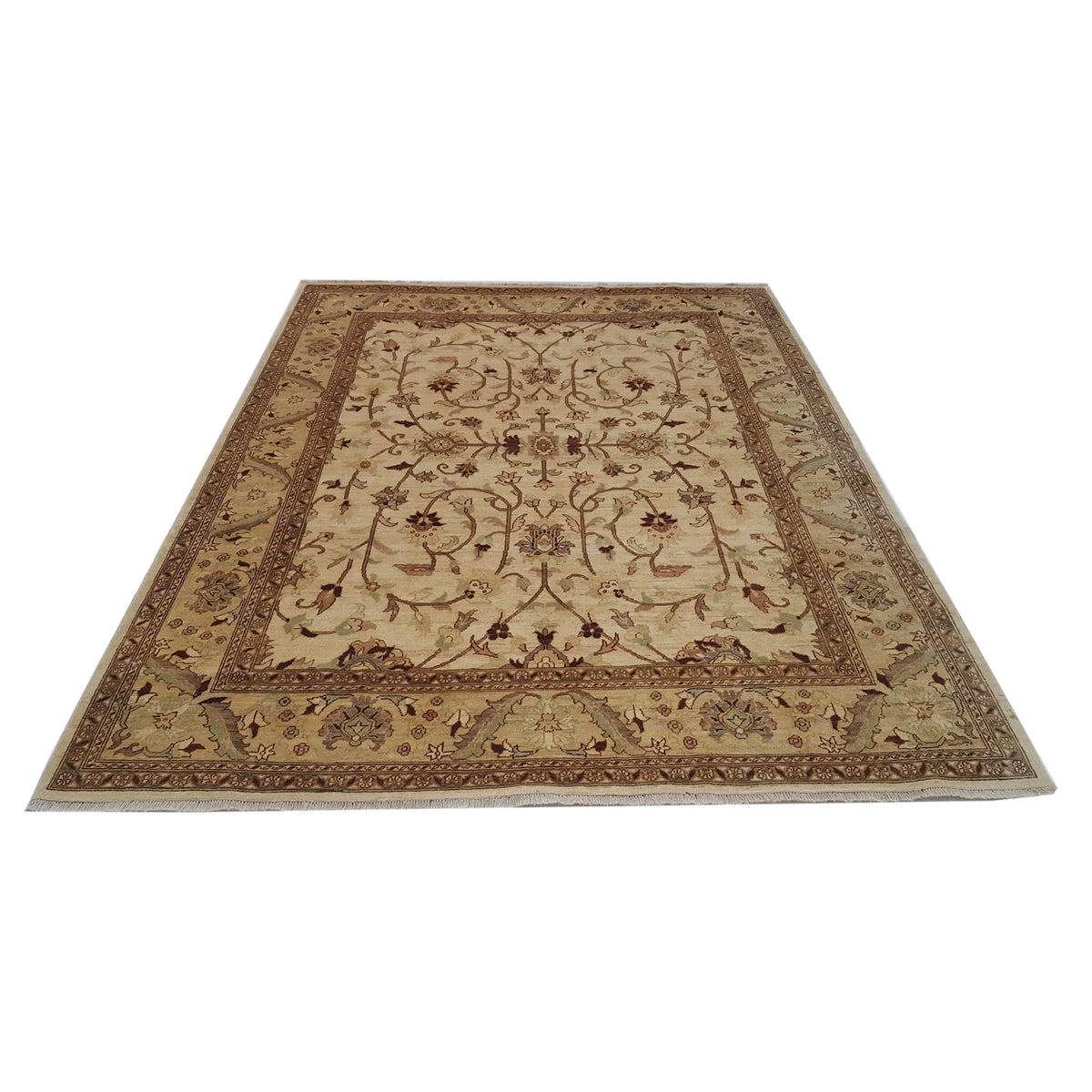 Pacific Ziegler 32368 Ivory Ivory Transitional Hand Knotted Rug