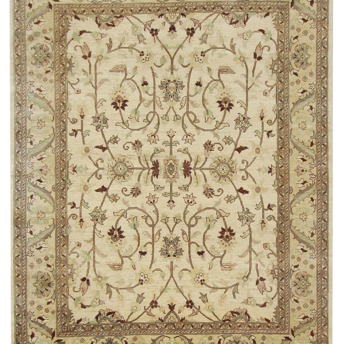 Pacific Ziegler  Ivory Ivory Transitional