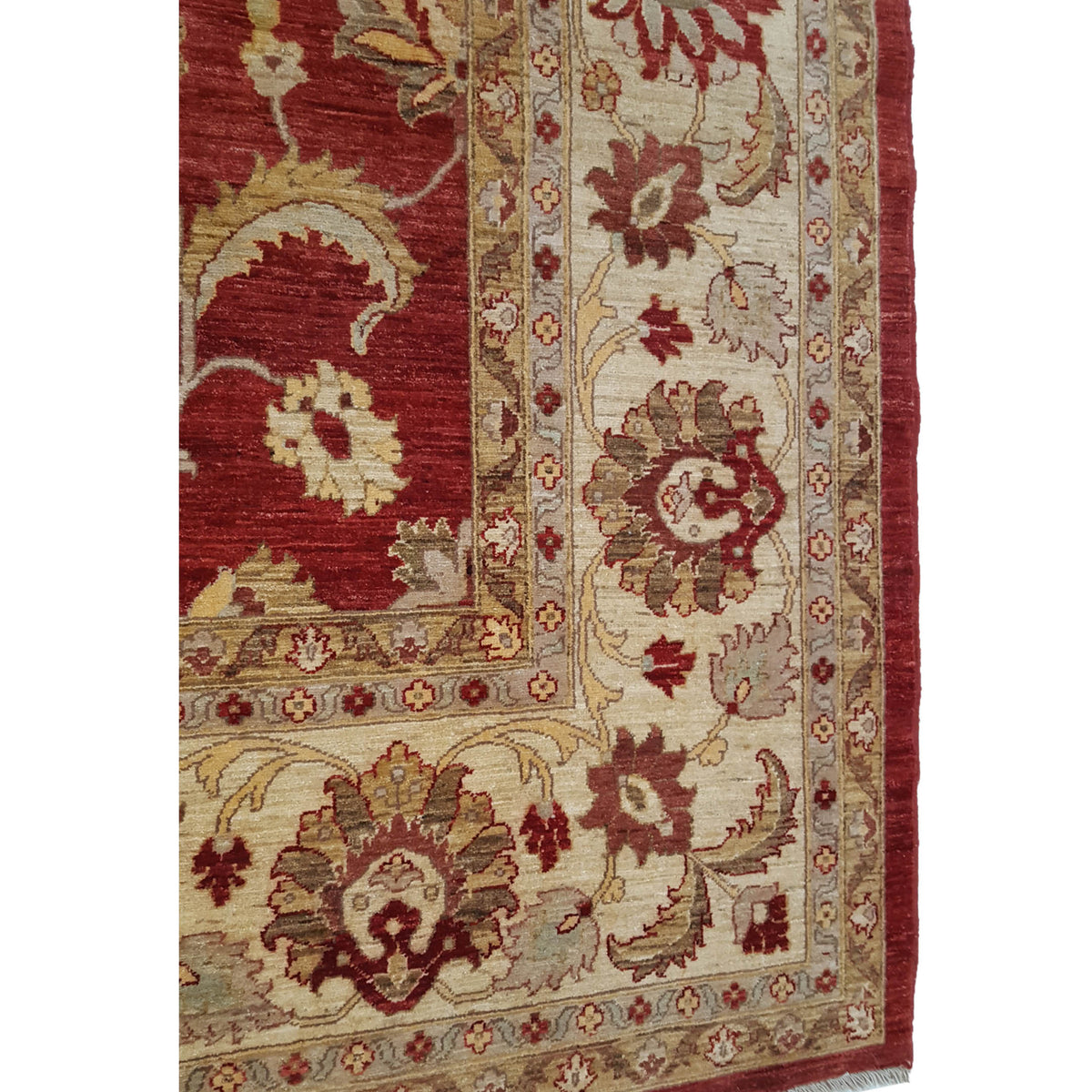 Pacific Sultanabad 32370 Red Ivory Traditional Hand Knotted Rug
