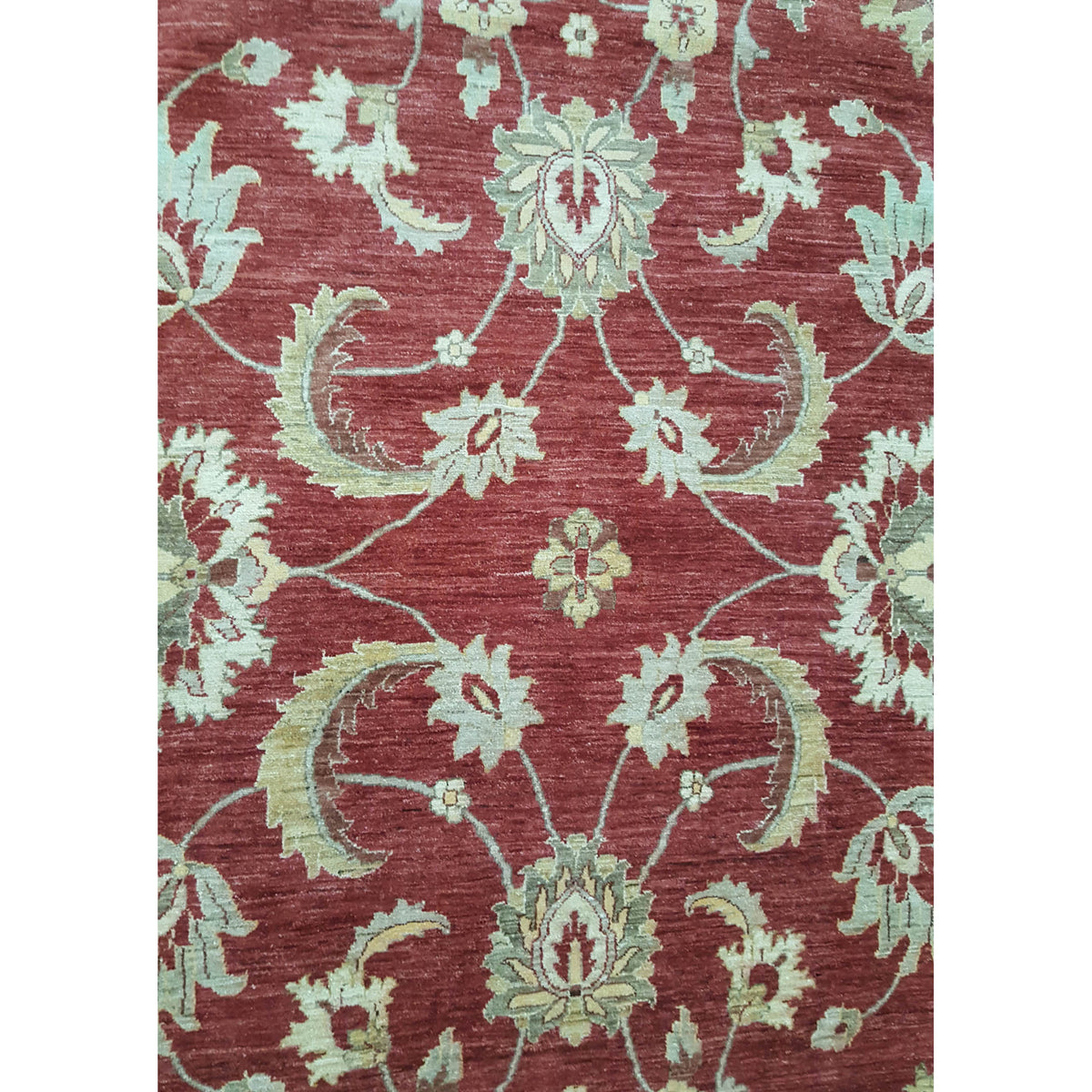 Pacific Sultanabad 32370 Red Ivory Traditional Hand Knotted Rug