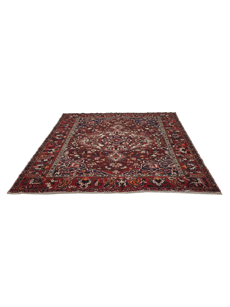 Fasa Antique Bakhtiyari 33645 Rust Rust Traditional Antique Rug