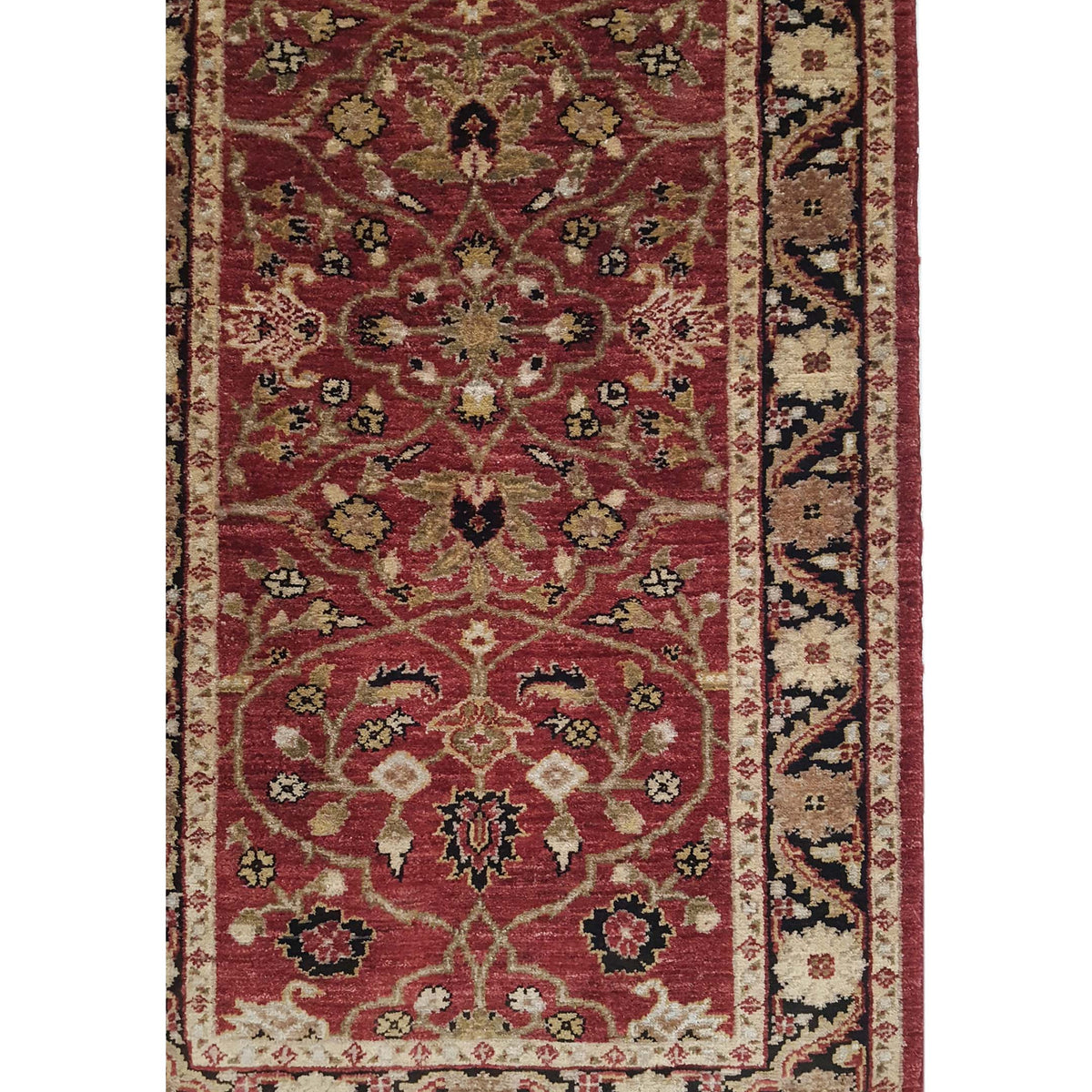 Pacific Ziegler 33828 Red Black Transitional Hand Knotted Rug