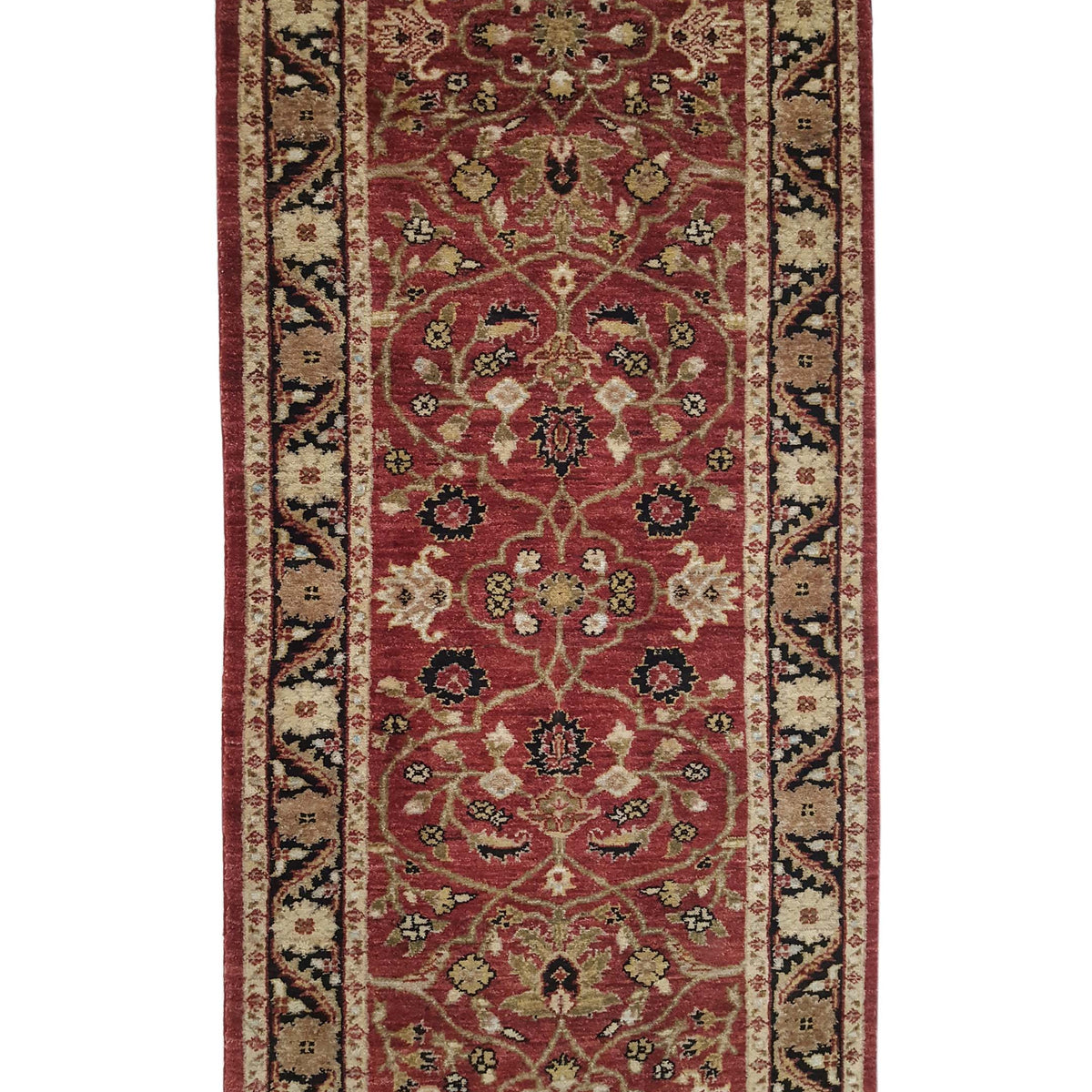 Pacific Ziegler 33828 Red Black Transitional Hand Knotted Rug