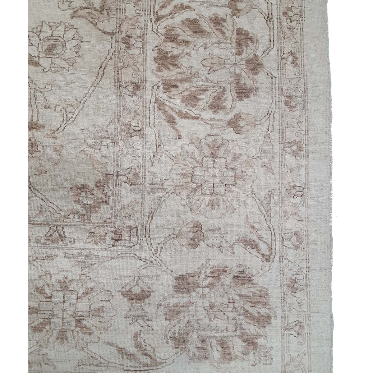 Pacific Ziegler 33830 Ivory Ivory Transitional Hand Knotted Rug