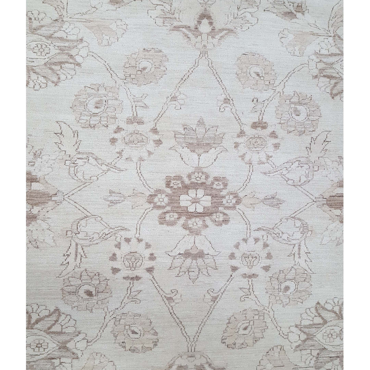 Pacific Ziegler 33830 Ivory Ivory Transitional Hand Knotted Rug