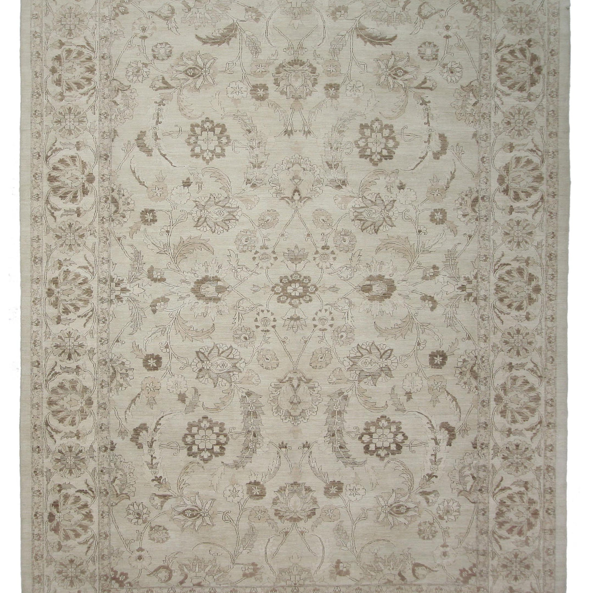 Pacific Ziegler  Ivory Ivory Transitional