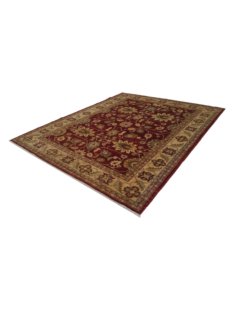 Pacific Ziegler 33862 Red Gold Transitional Hand Knotted Rug