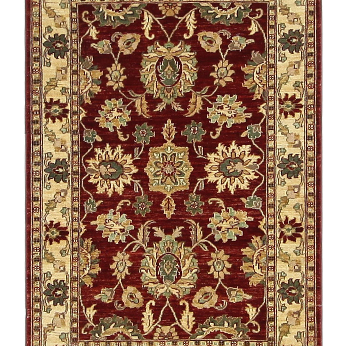 Pacific Ziegler  Red Ivory Transitional