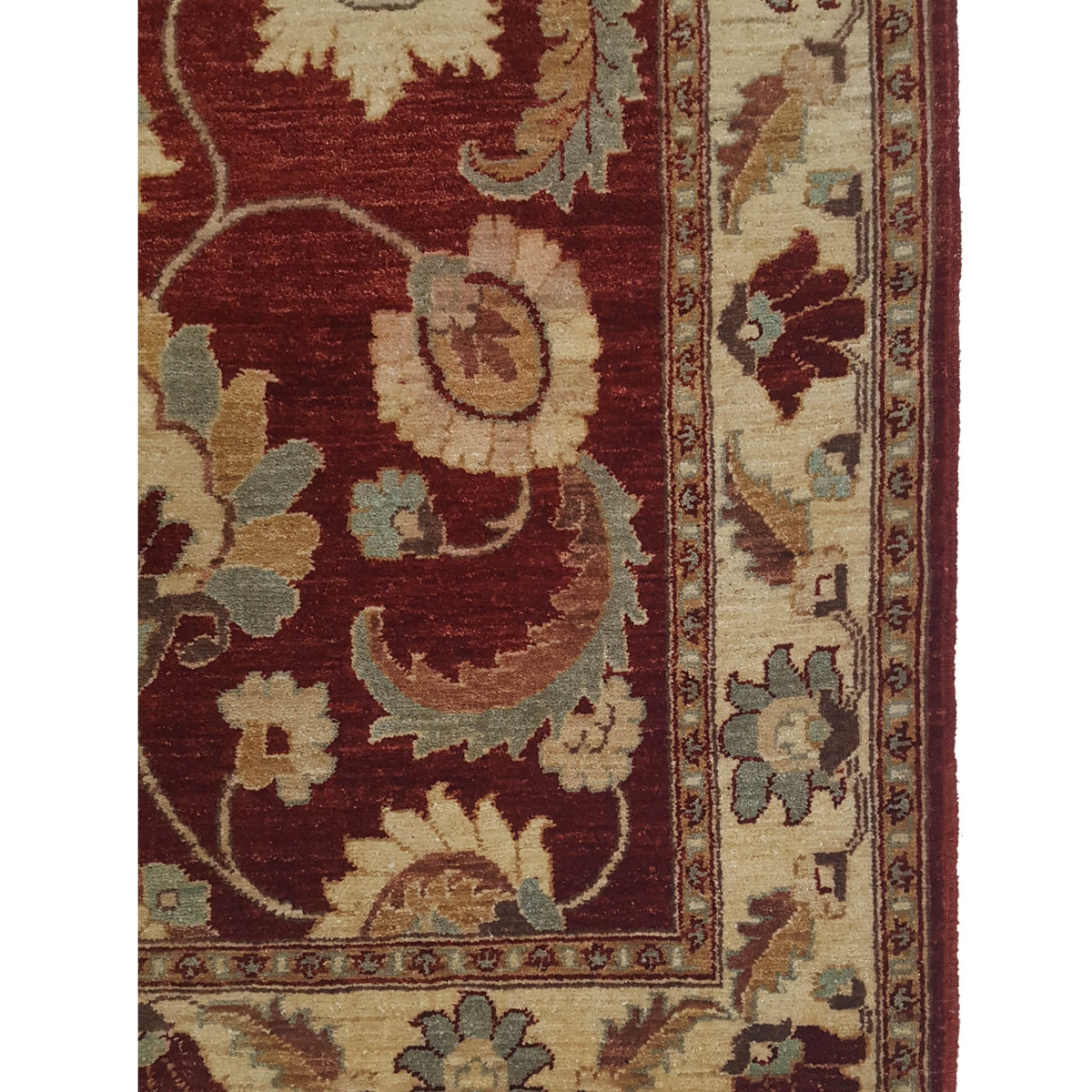 Pacific Ziegler 33894 Red Ivory Transitional Hand Knotted Rug