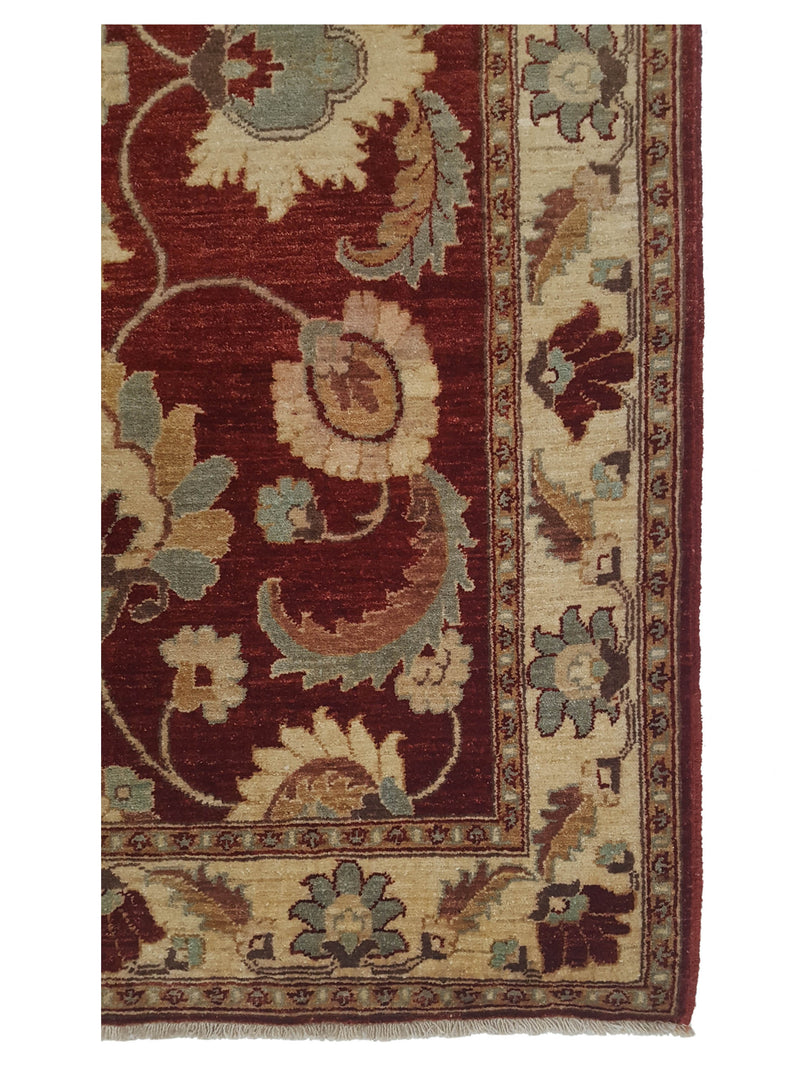 Pacific Ziegler 33894 Red Ivory Transitional Hand Knotted Rug