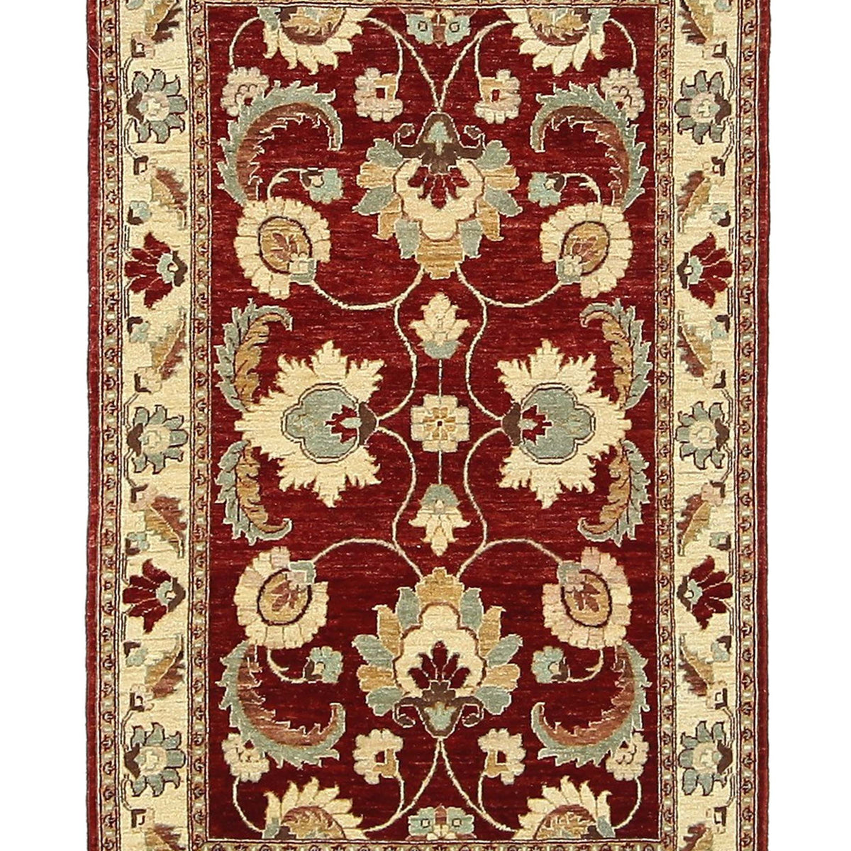 Pacific Ziegler  Red Ivory Transitional