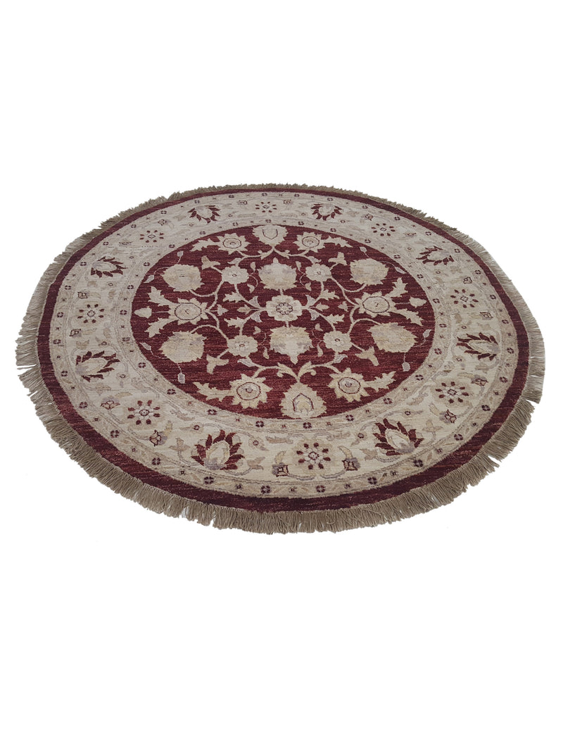 Pacific Ziegler 33895 Brick Ivory Transitional Hand Knotted Rug