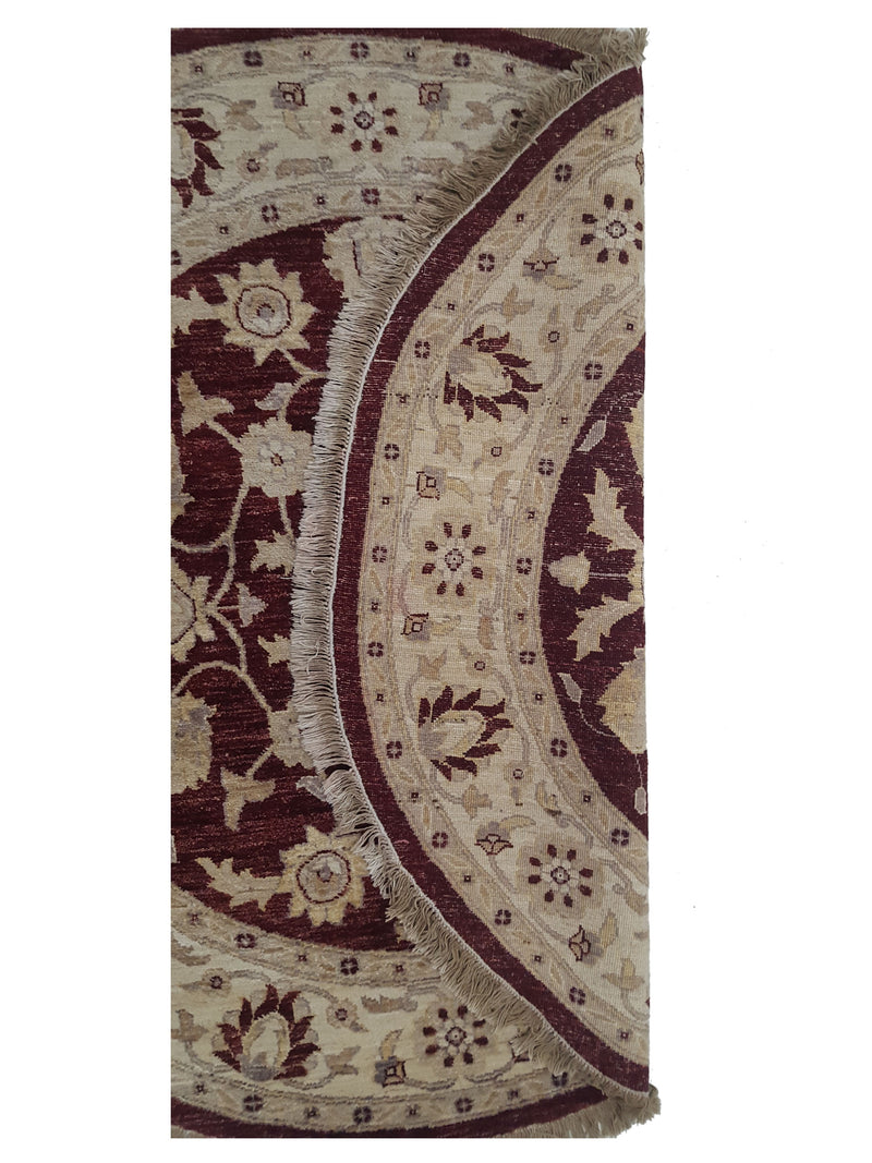 Pacific Ziegler 33895 Brick Ivory Transitional Hand Knotted Rug