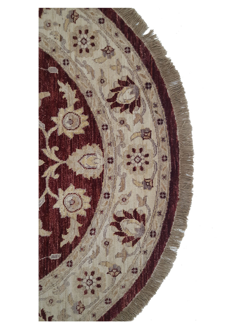 Pacific Ziegler 33895 Brick Ivory Transitional Hand Knotted Rug