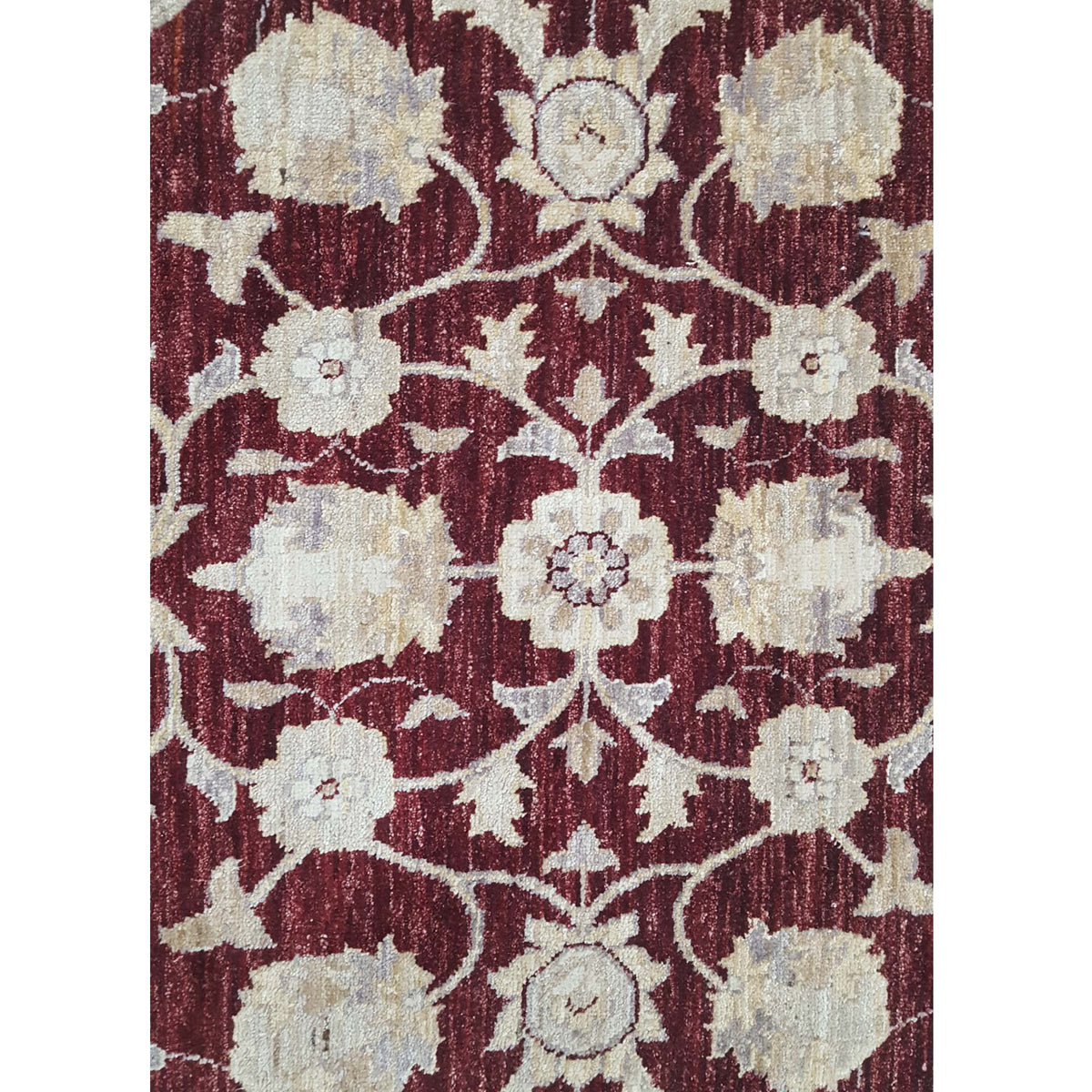 Pacific Ziegler 33895 Brick Ivory Transitional Hand Knotted Rug