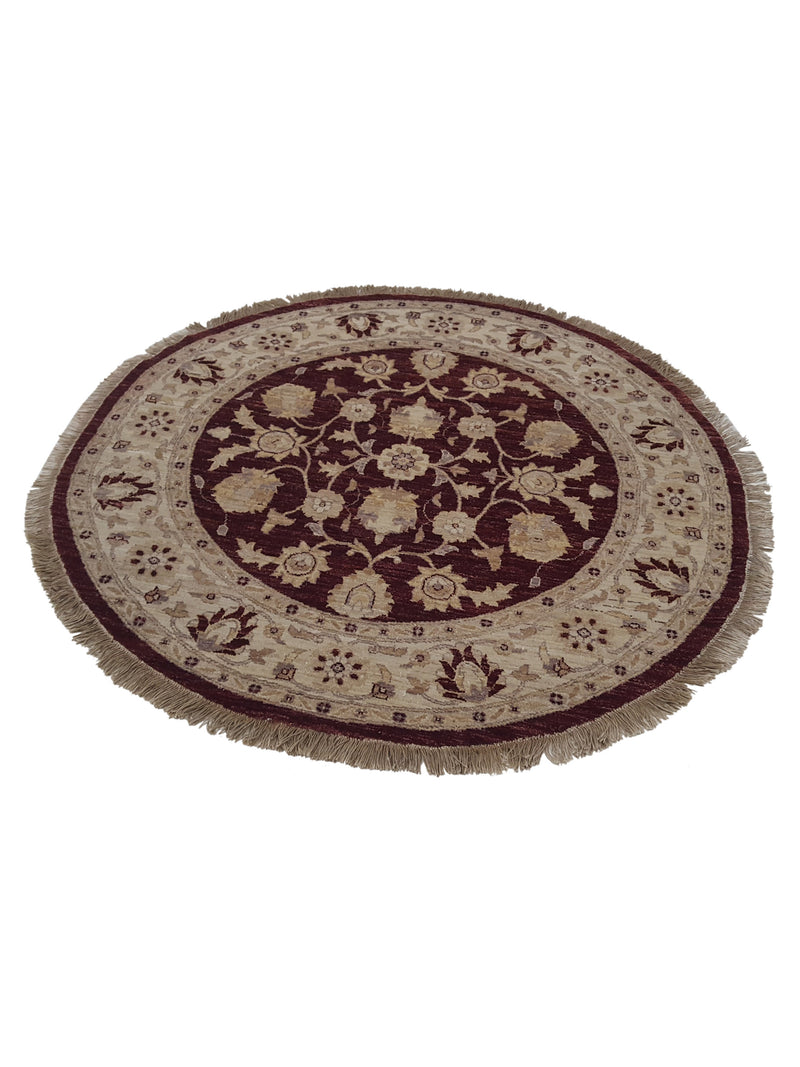 Pacific Ziegler 33895 Brick Ivory Transitional Hand Knotted Rug