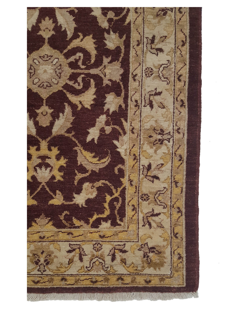 Pacific Ziegler 34377 Brown Ivory Transitional Hand Knotted Rug