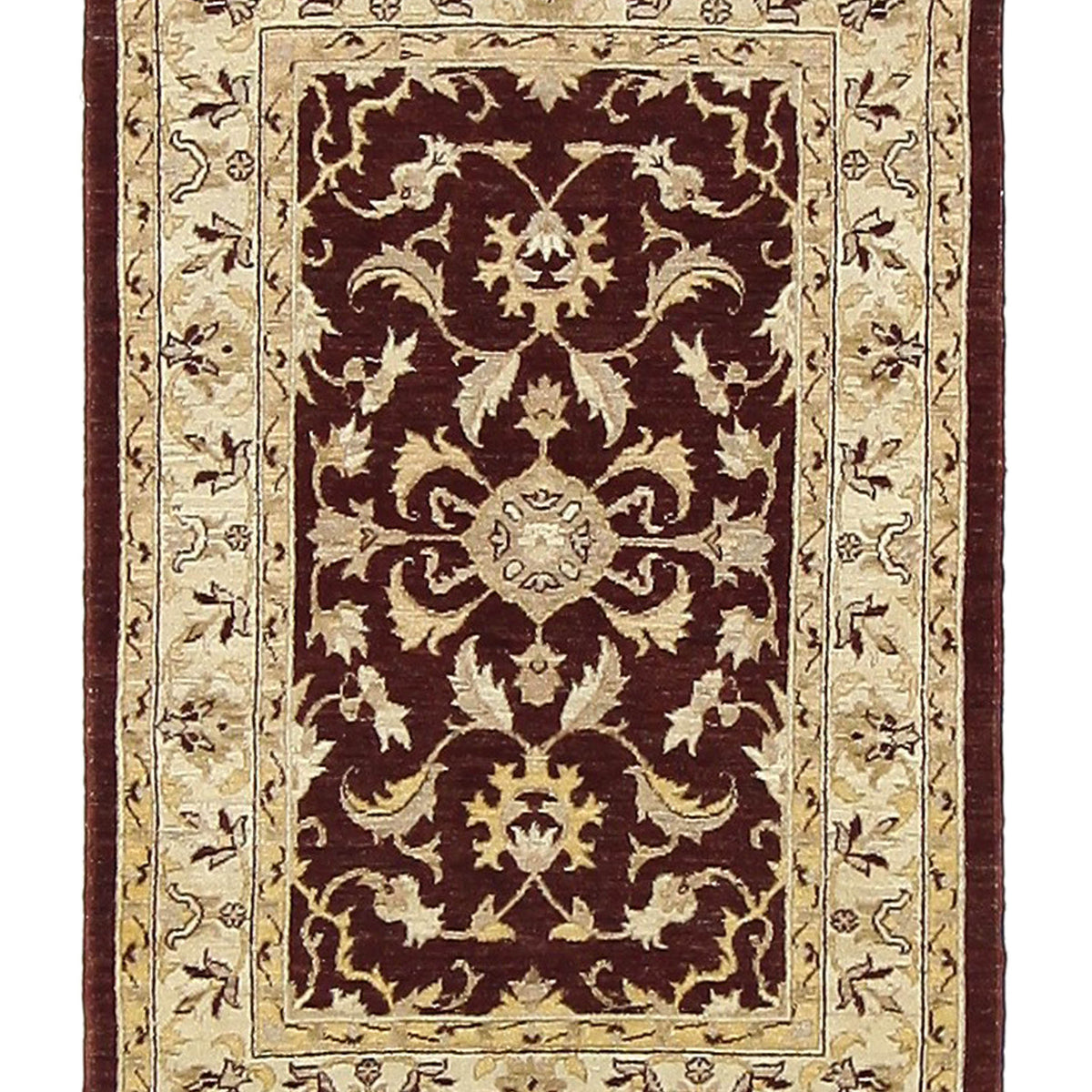 Pacific Ziegler  Brown Ivory Transitional