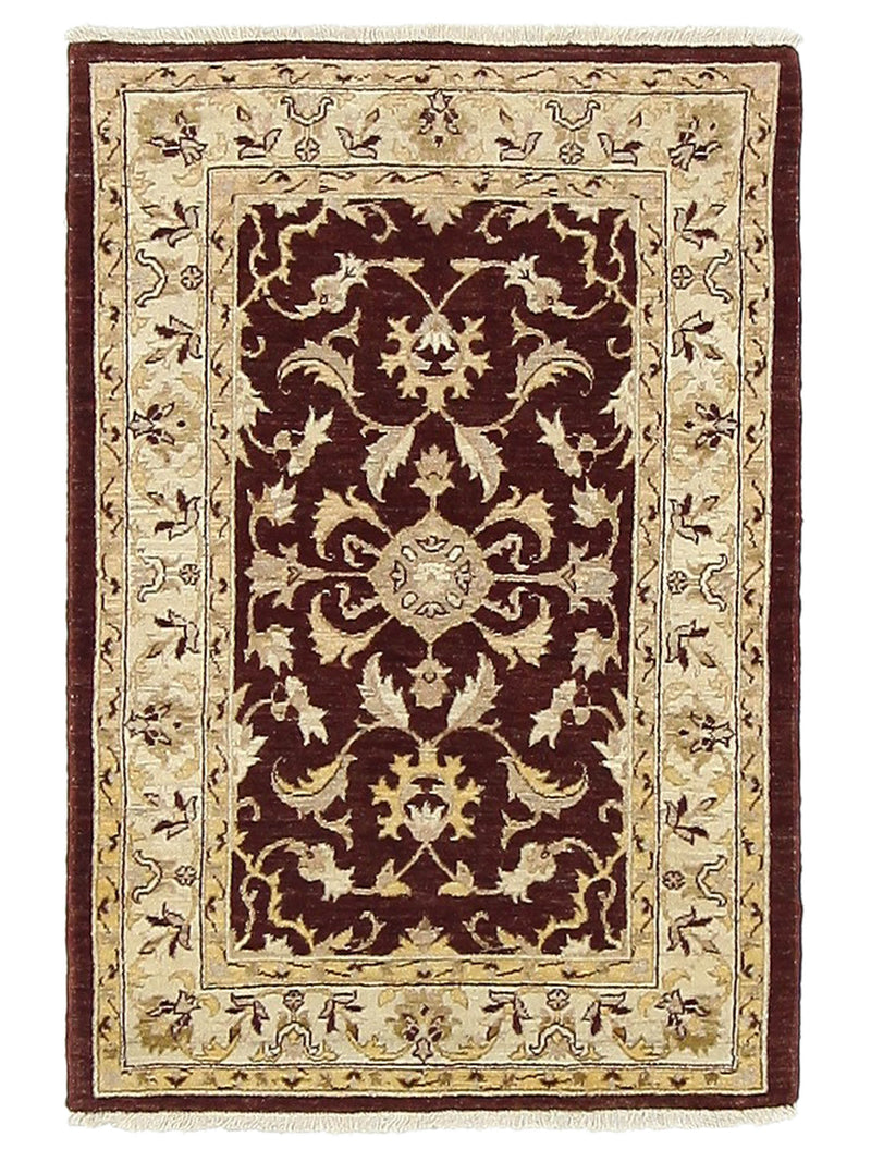 Pacific Ziegler  Brown Ivory Transitional