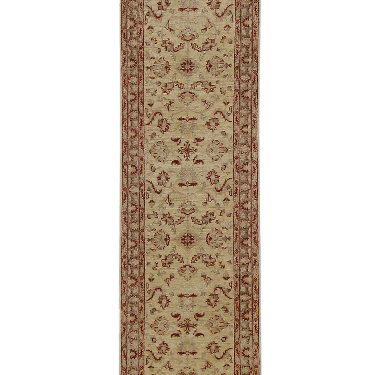 Pacific Ziegler  Ivory Lt.Brown Transitional