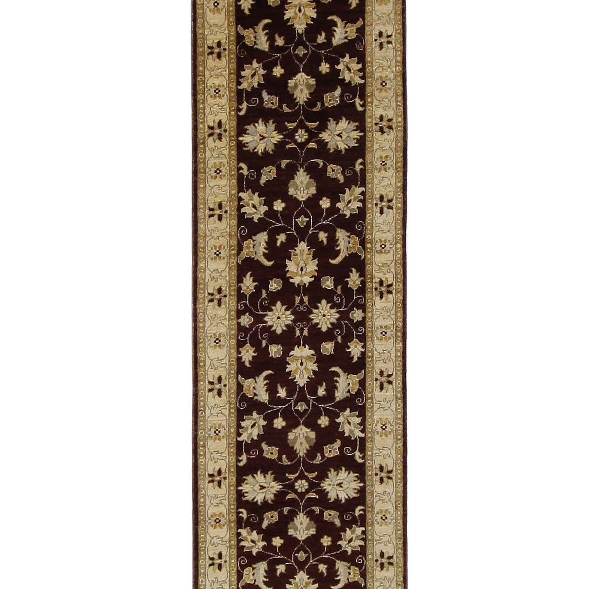 Pacific Ziegler  Brown Gold Transitional