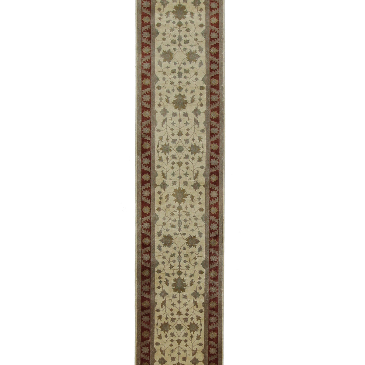 Pacific Ziegler  Gold Rust Transitional