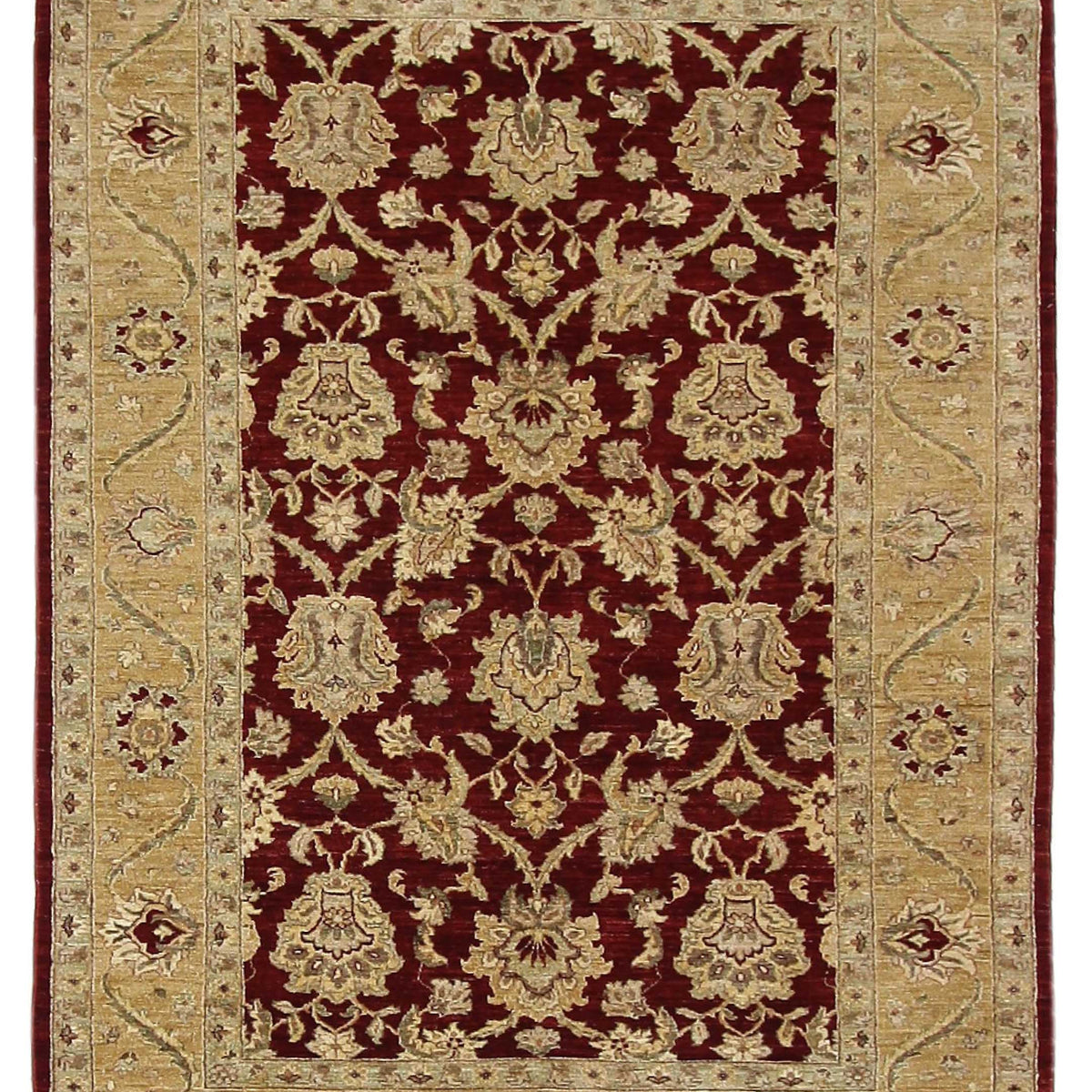 Pacific Ziegler  Red Gold Transitional