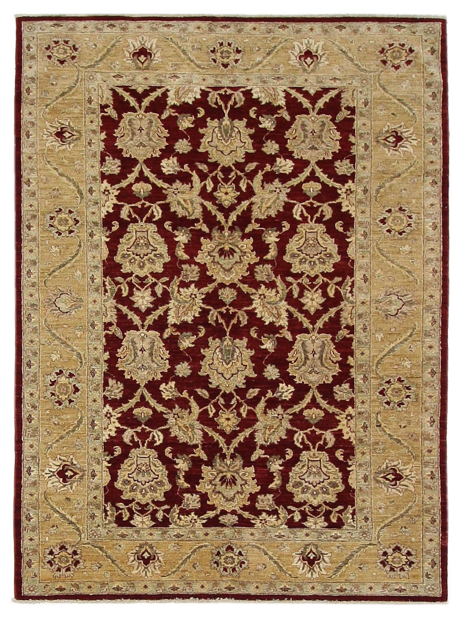 Pacific Ziegler  Red Gold Transitional