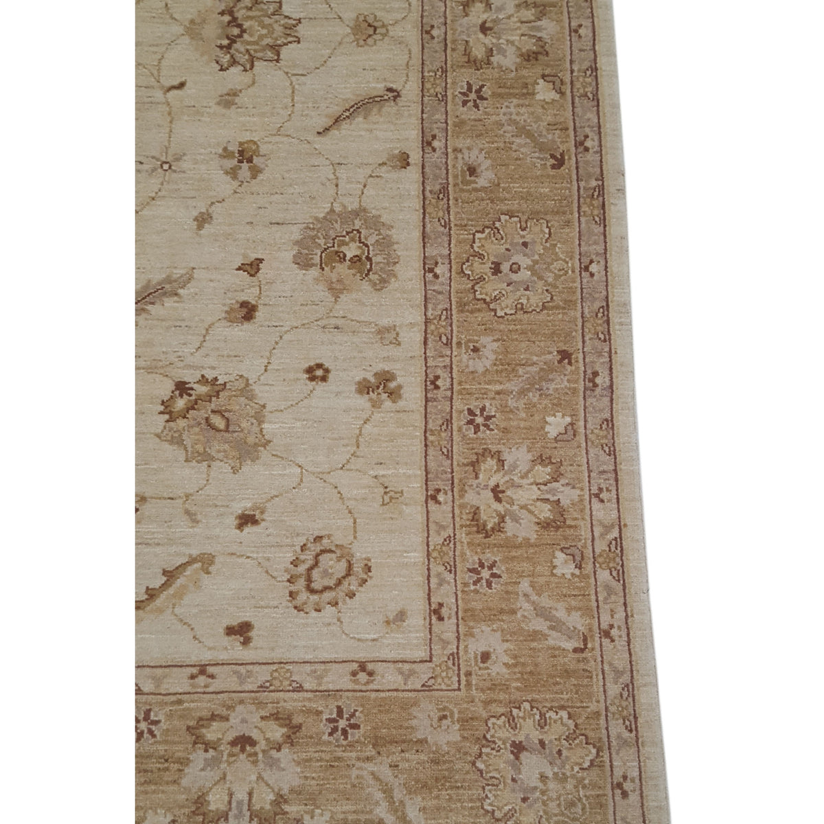 Pacific Ziegler 35425 Beige Gold Transitional Hand Knotted Rug
