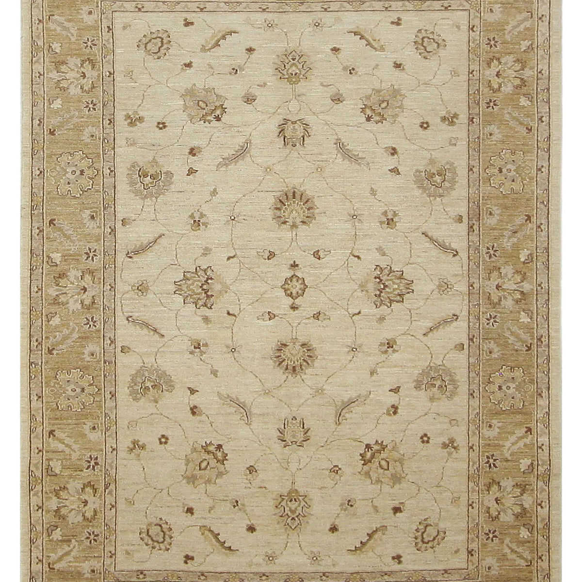 Pacific Ziegler  Beige Gold Transitional
