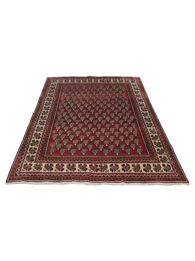 Pacific Bakhtiyari 35451 Red Ivory Traditional Hand Knotted Rug