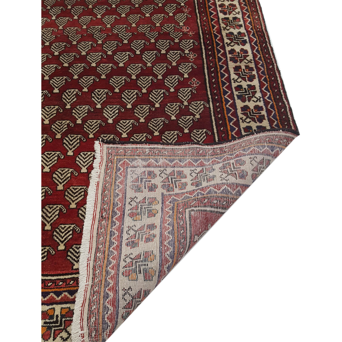 Pacific Bakhtiyari 35451 Red Ivory Traditional Hand Knotted Rug