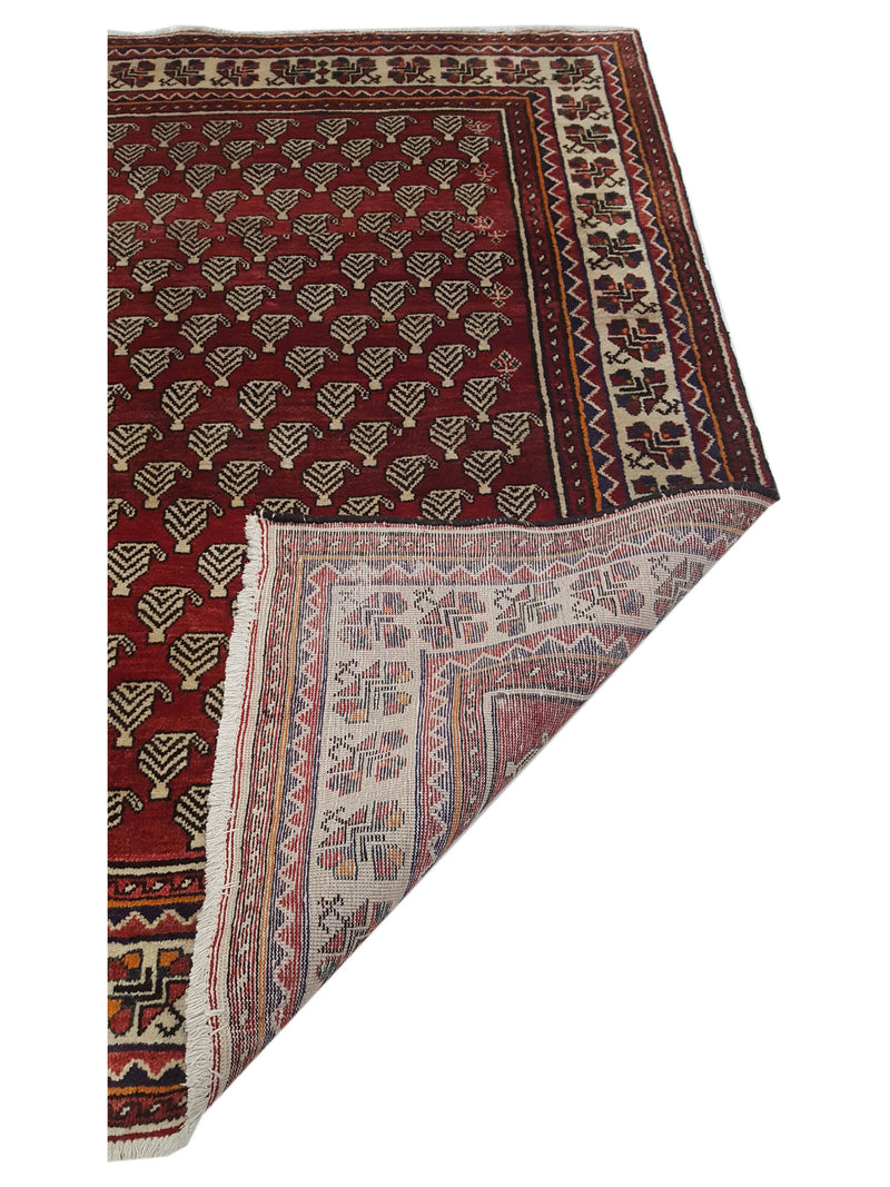 Pacific Bakhtiyari 35451 Red Ivory Traditional Hand Knotted Rug