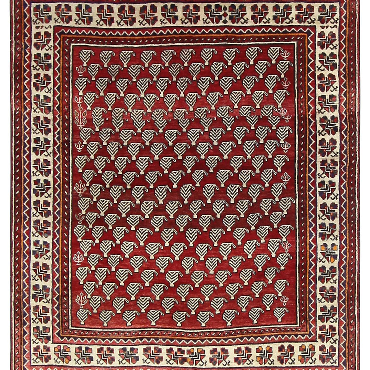 Pacific Bakhtiyari  Red Ivory Traditional