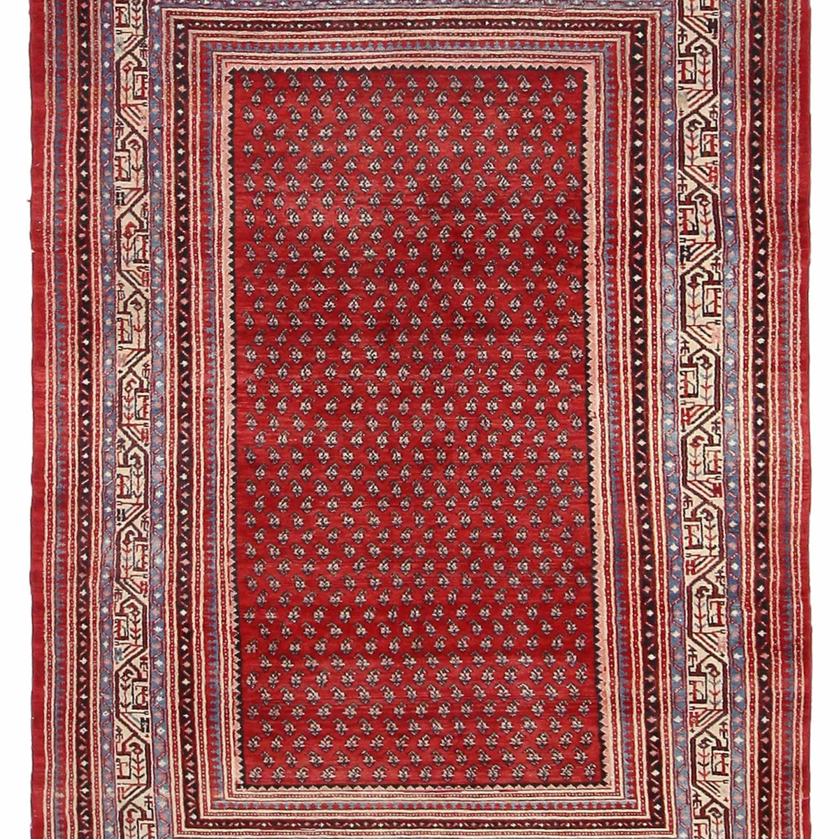 Pacific Mahal  Spice Beige Traditional