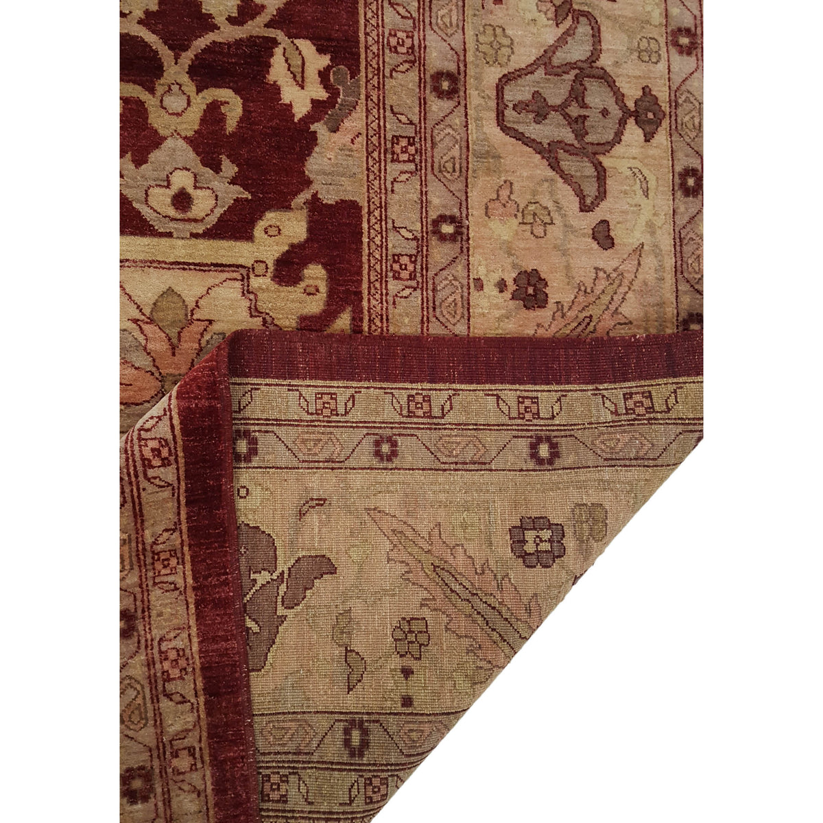 Pacific Ziegler 35569 Red Lt.Rose Transitional Hand Knotted Rug
