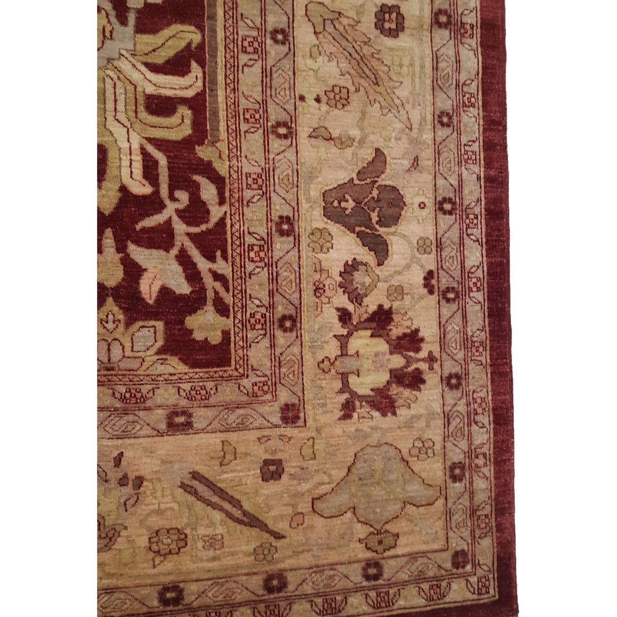 Pacific Ziegler 35569 Red Lt.Rose Transitional Hand Knotted Rug