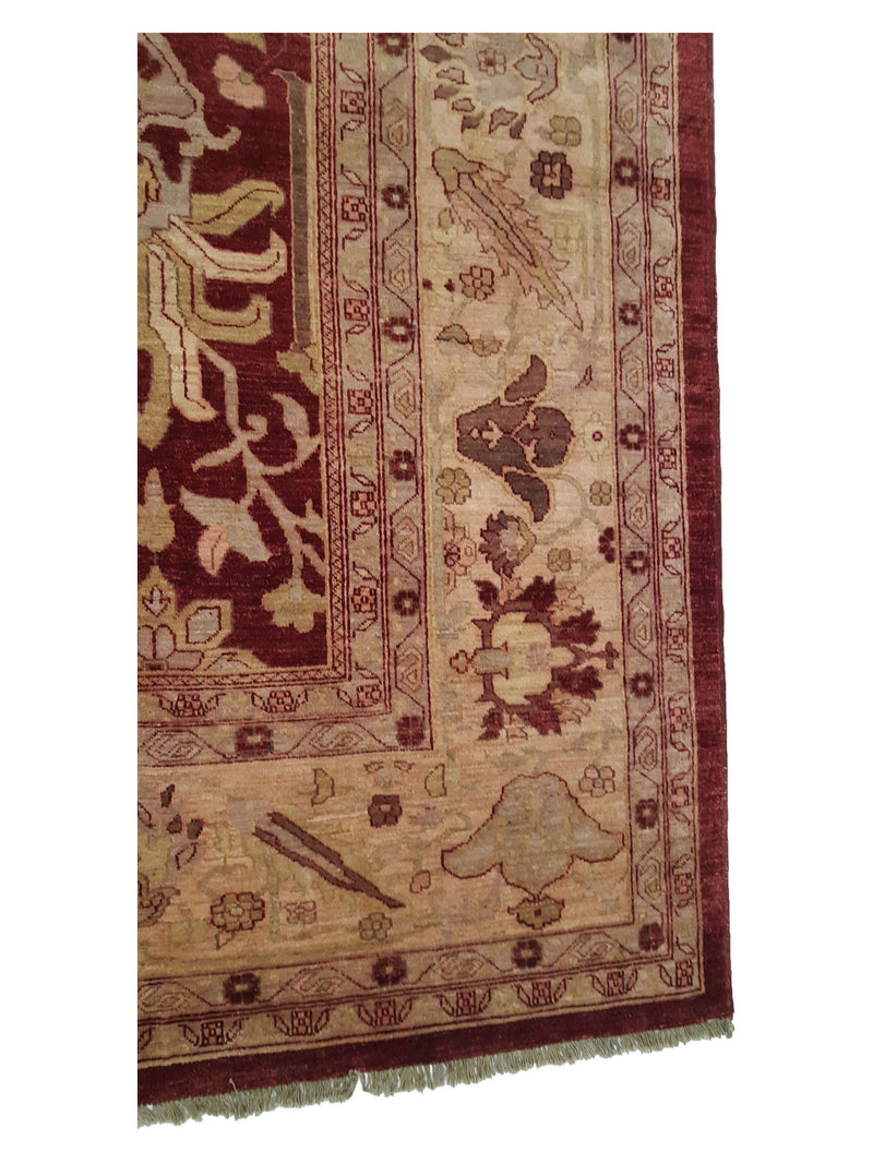 Pacific Ziegler 35569 Red Lt.Rose Transitional Hand Knotted Rug