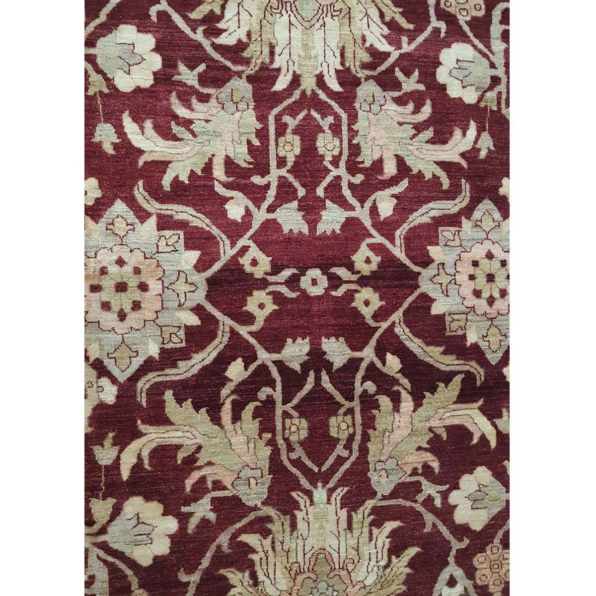 Pacific Ziegler 35569 Red Lt.Rose Transitional Hand Knotted Rug