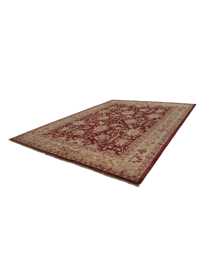 Pacific Ziegler 35569 Red Lt.Rose Transitional Hand Knotted Rug