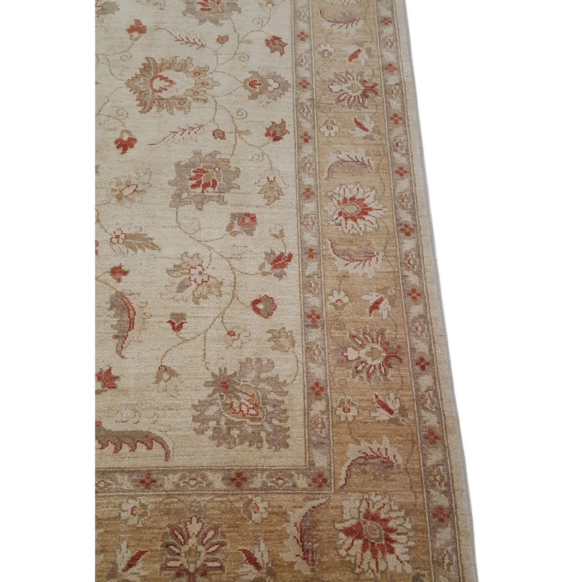 Pacific Ziegler 35596 Beige Gold Transitional Hand Knotted Rug