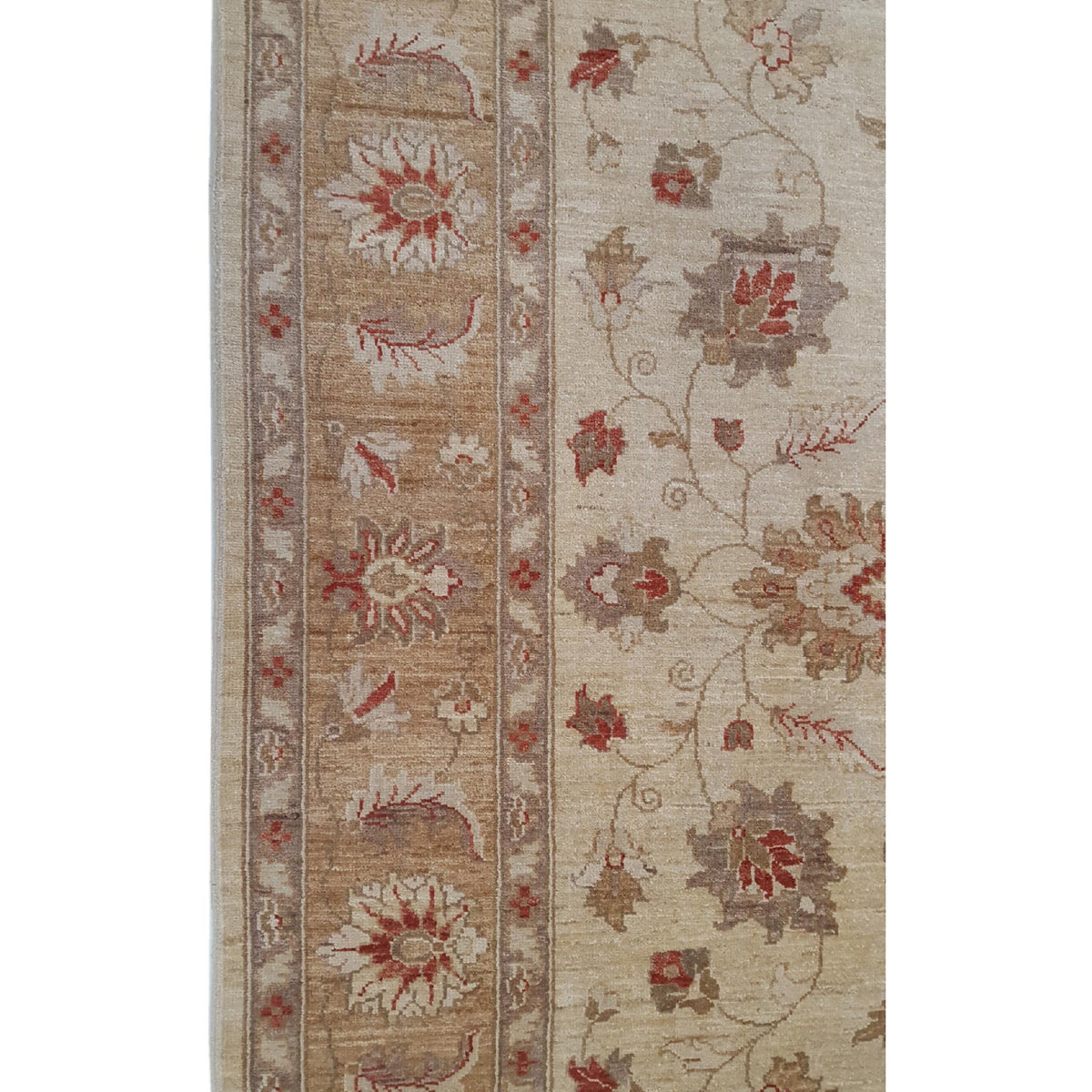 Pacific Ziegler 35596 Beige Gold Transitional Hand Knotted Rug