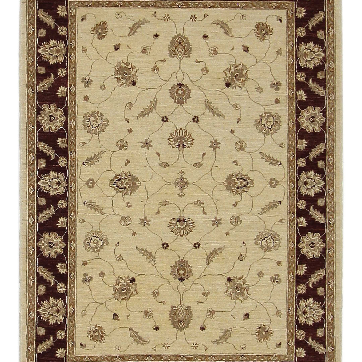 Pacific Ziegler  Gold Brown Transitional