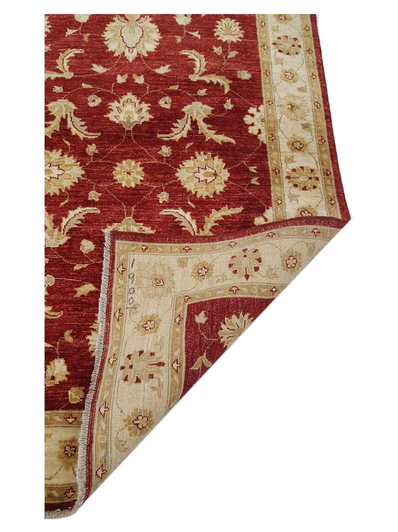 Pacific Ziegler 35622 Red Gold Transitional Hand Knotted Rug