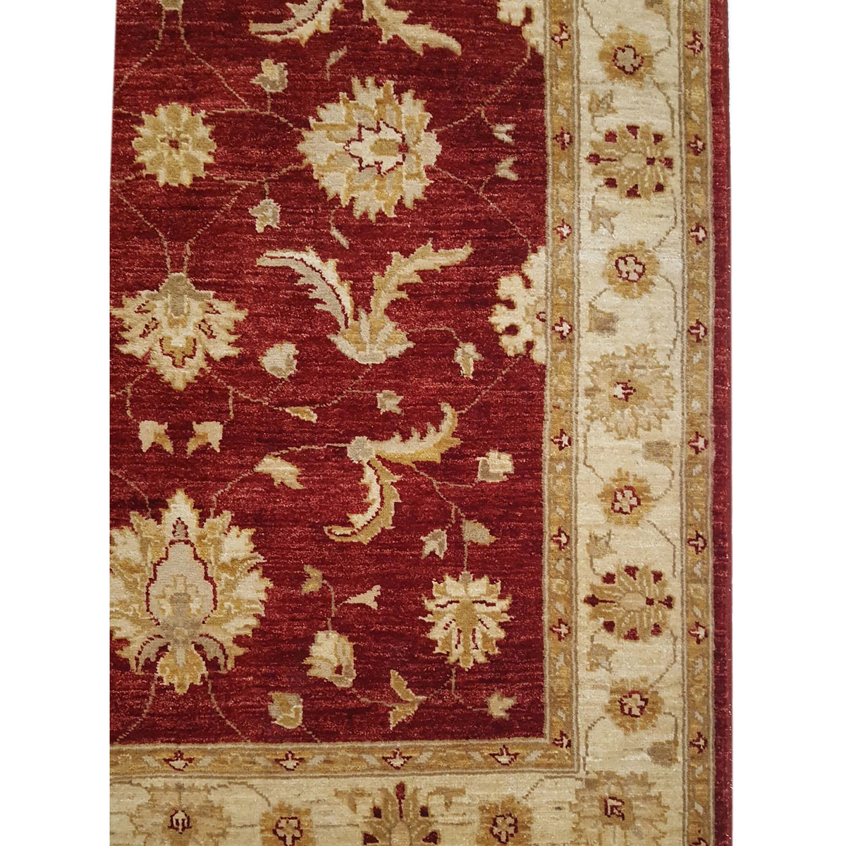 Pacific Ziegler 35622 Red Gold Transitional Hand Knotted Rug