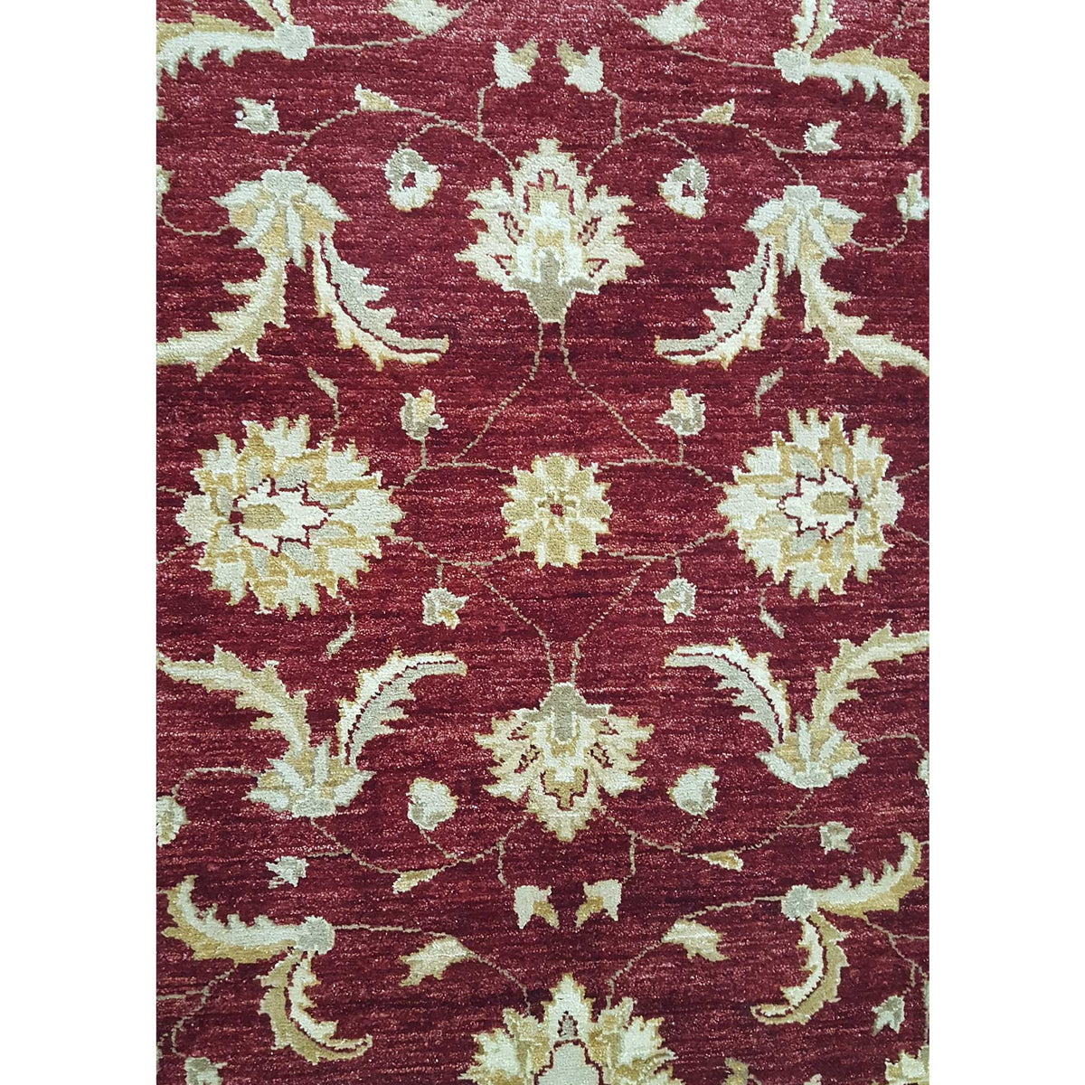 Pacific Ziegler 35622 Red Gold Transitional Hand Knotted Rug