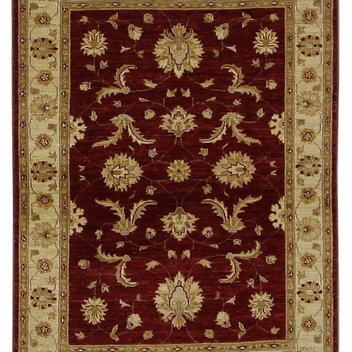 Pacific Ziegler  Red Gold Transitional