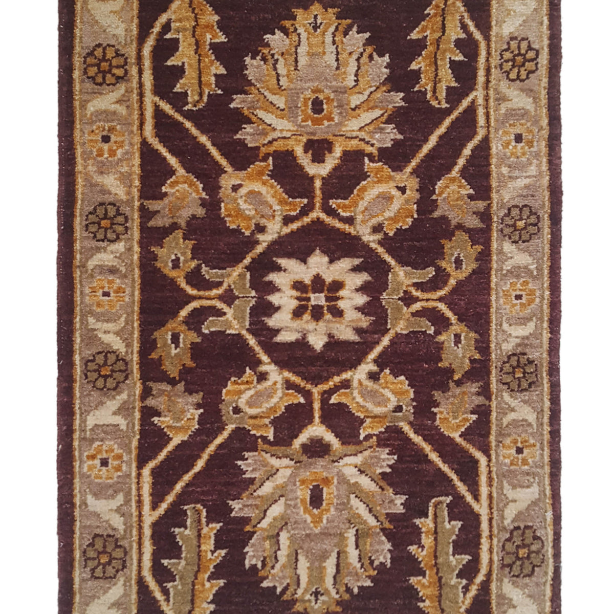 Pacific Ziegler  Brown Lt.Brown Transitional
