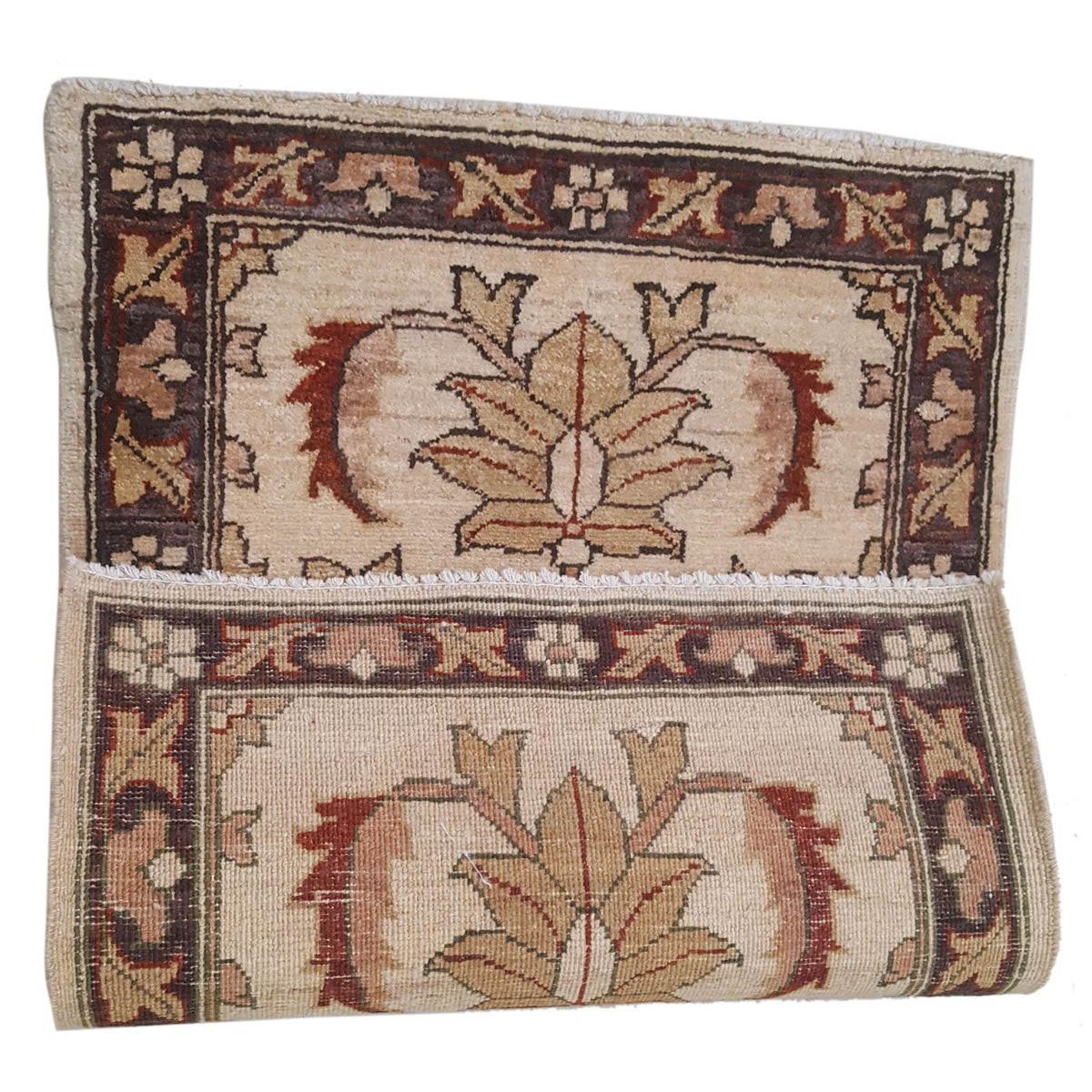 Pacific Ziegler 36148 Gold Brown Transitional Hand Knotted Rug